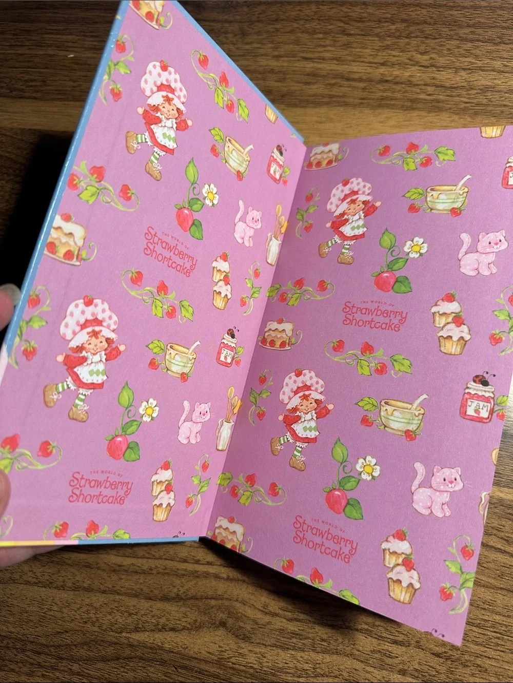 Strawberry Shortcake Rainbow Cloud Hardcover Notebook